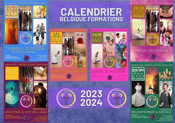 formation constellation familiale belgique formation constellation familiale belgique 2023 2024